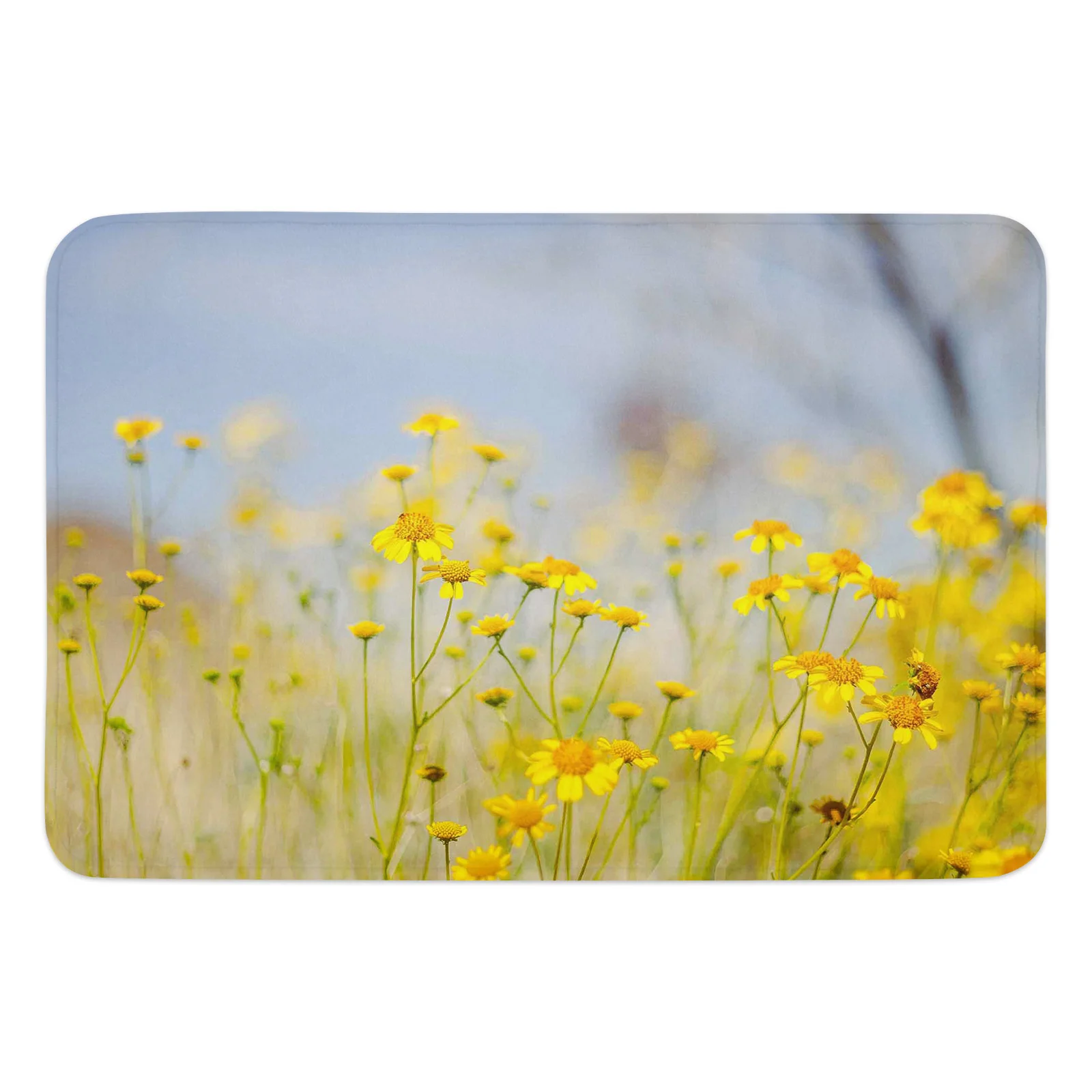 

Daisy Yellow Butterfly Printed Door Mat Rugs For Bedroom Anti-slip Entrance Printed Door Mat Carpets In Living Room