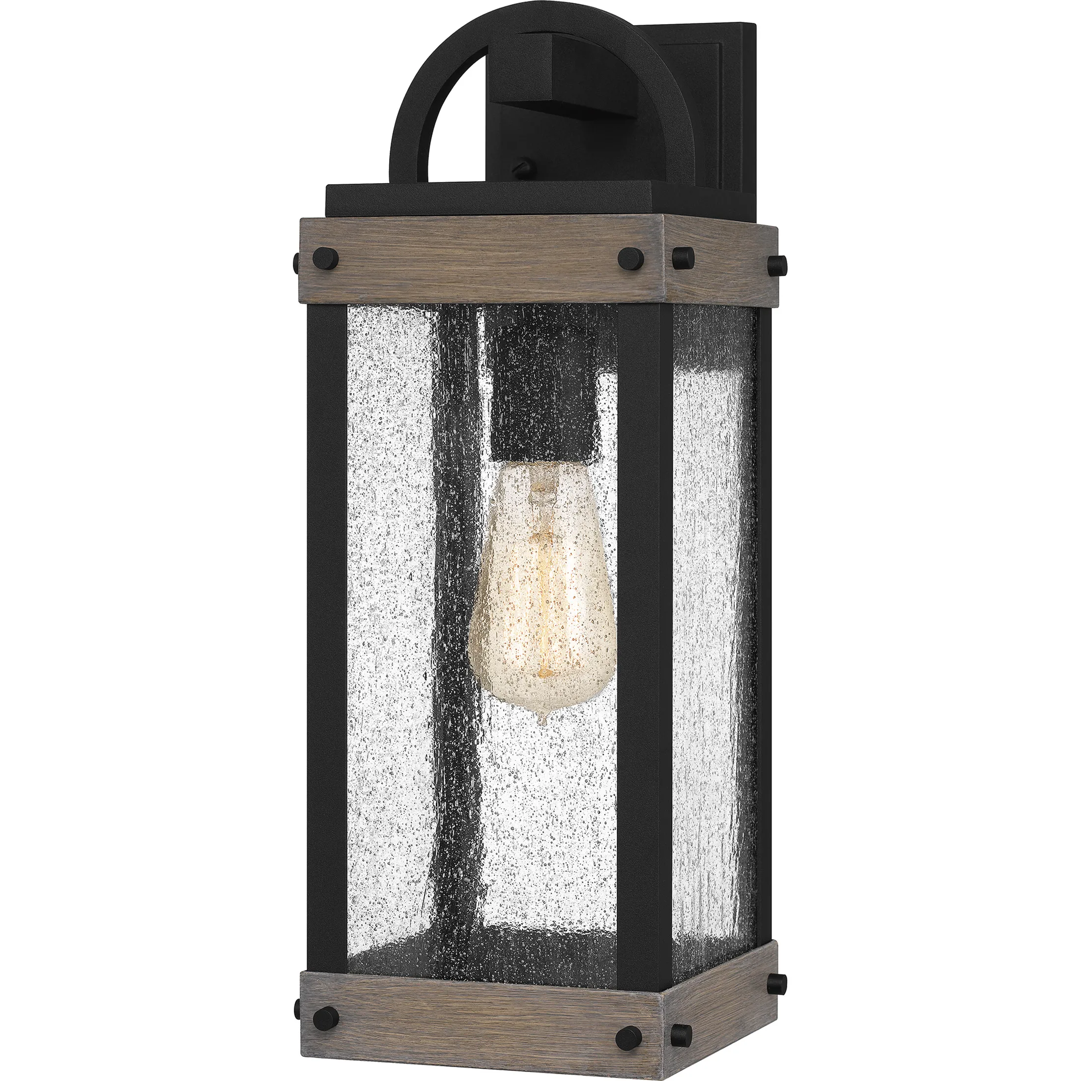 Chandler 1-Light Earth Black Outdoor Wall Lantern