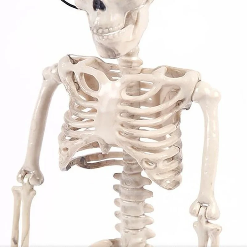 40cm simulation skeleton human halloween prop plastic skeleton bones horror human bones for house party halloween decoration free global shipping