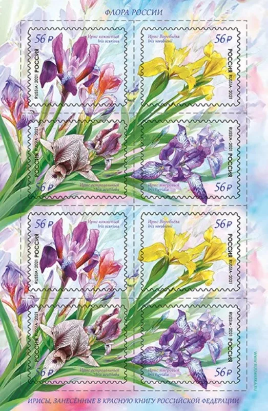 Российский 2021 Iris настоящий оригинальный почтовый штамп MNH (2 комплекта) 2741