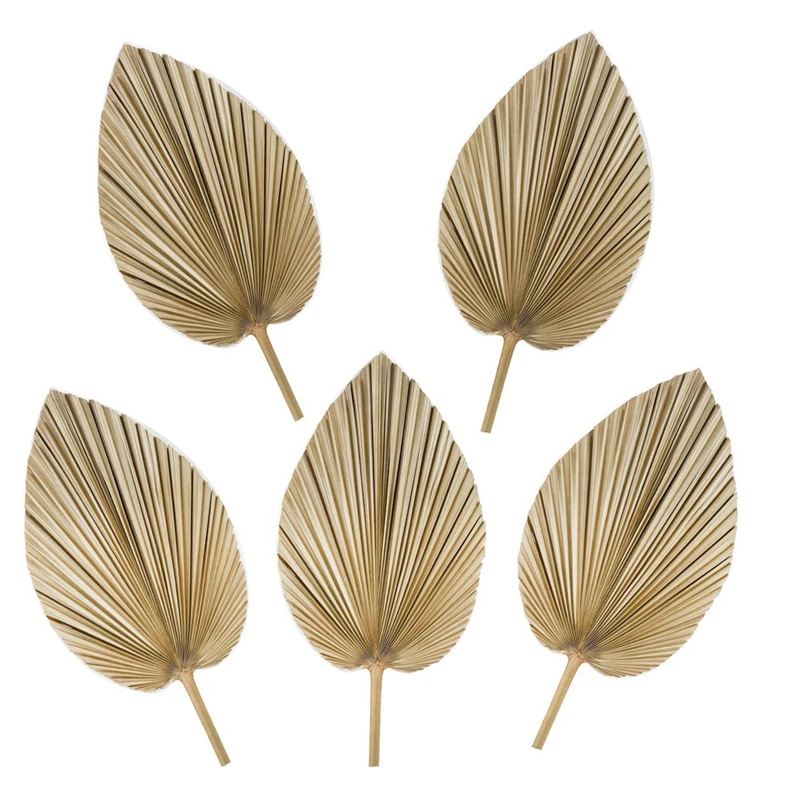 

5PCS Palm Leaves Dried Tropical Palm Decoration Dried Natural Leaves For Tropical Wedding Leaves Decorations