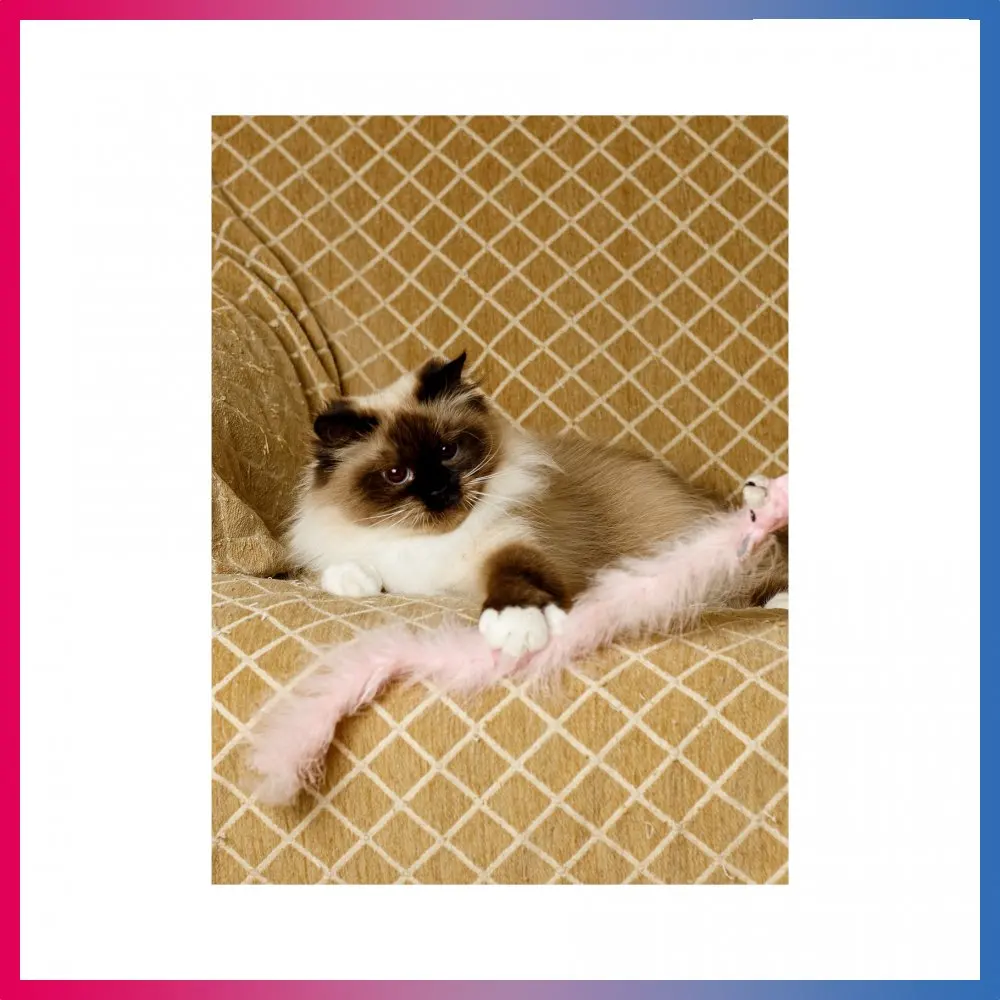 Игрушка для кошек Japan Premium Pet пушистая дразнилка в виде жирафа оранжевый | Дом и сад