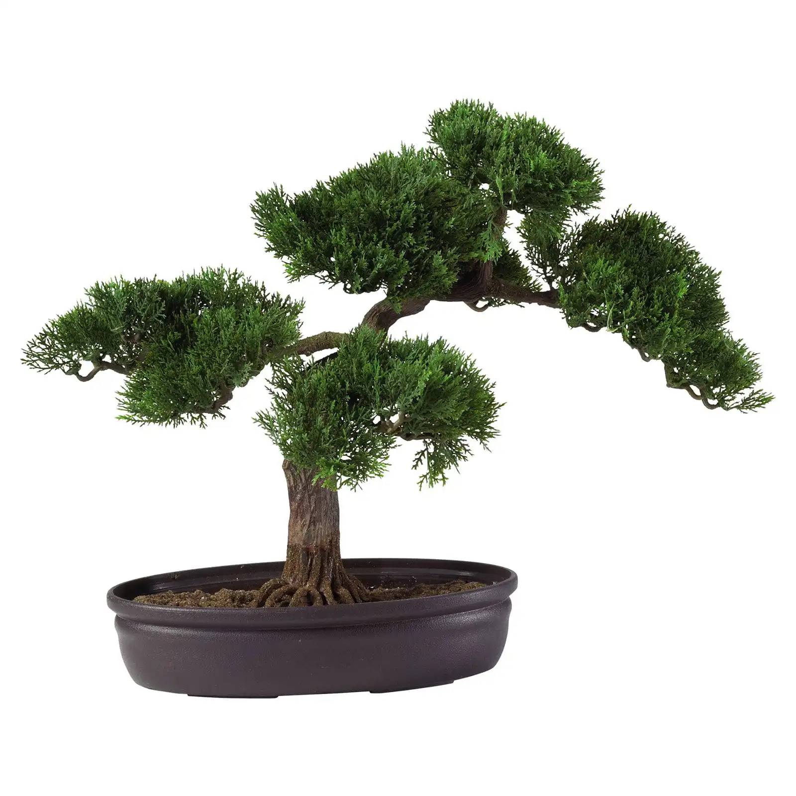 

16" Cedar Bonsai Plastic Artificial Plant, Green