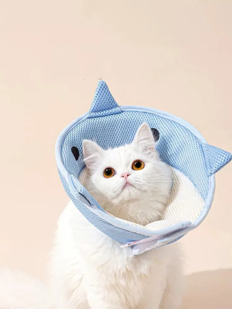 

Pet Collar Anti Bite Surgery Anti Lick Healing Protection Dolphin Shaped Recovery Collar For Cats Elizabethan Collar For Cats