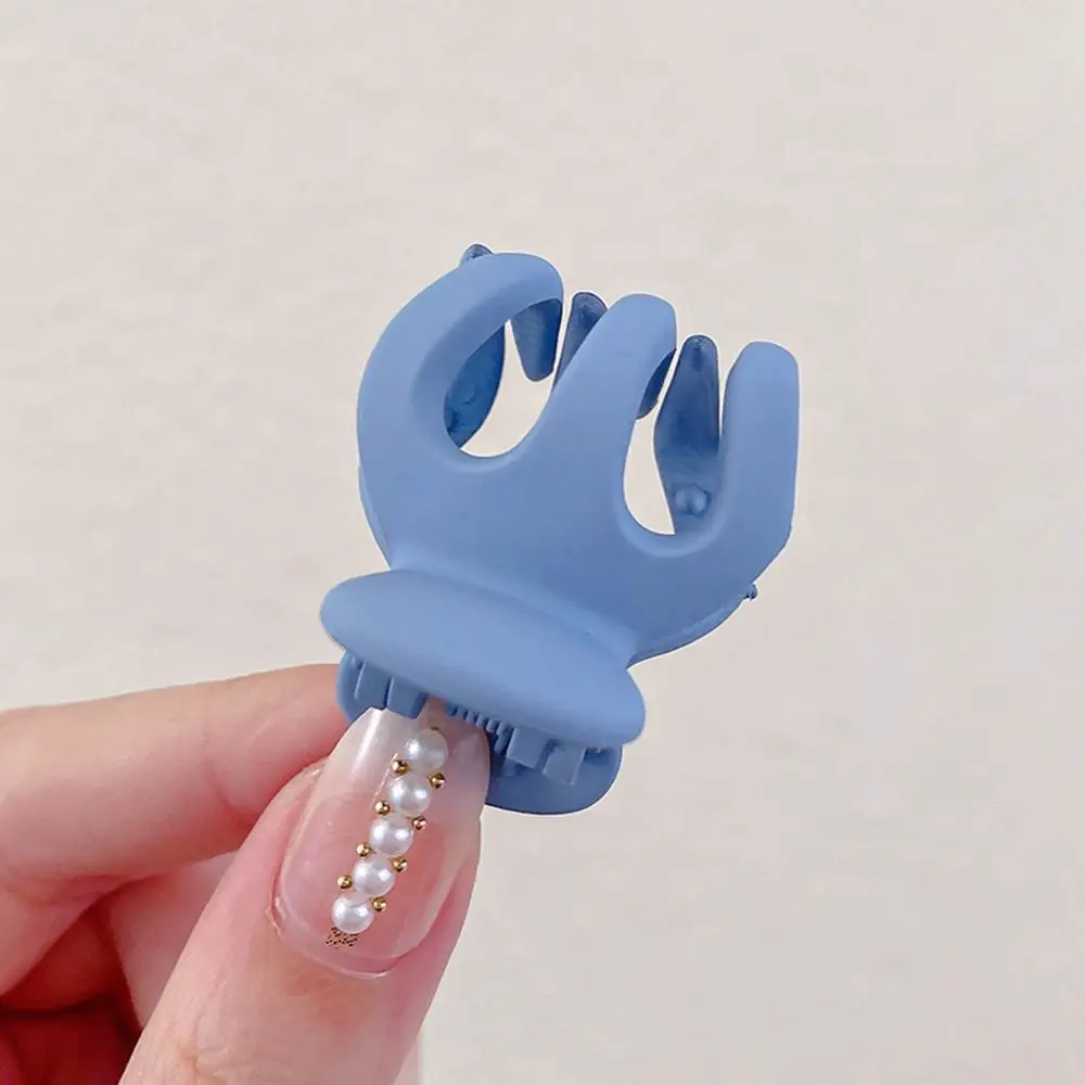 

Женский фиксированный высокий хвост, милый мини-заколка для волос, матовые боковые заколки для волос, аксессуар для укладки волос, головной ...