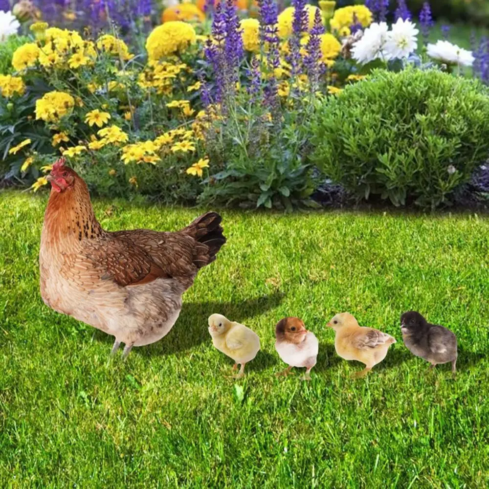 

Insert Signs Hen Statue Interesting Acrylic Double-sided Kid Toy Stereoscopic Chicken Statue Garden