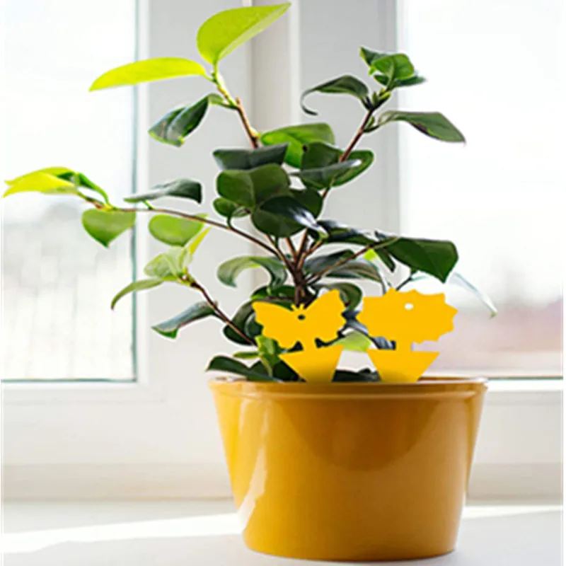 Рисунок 2 - Двусторонняя клейкая ловушка для мух