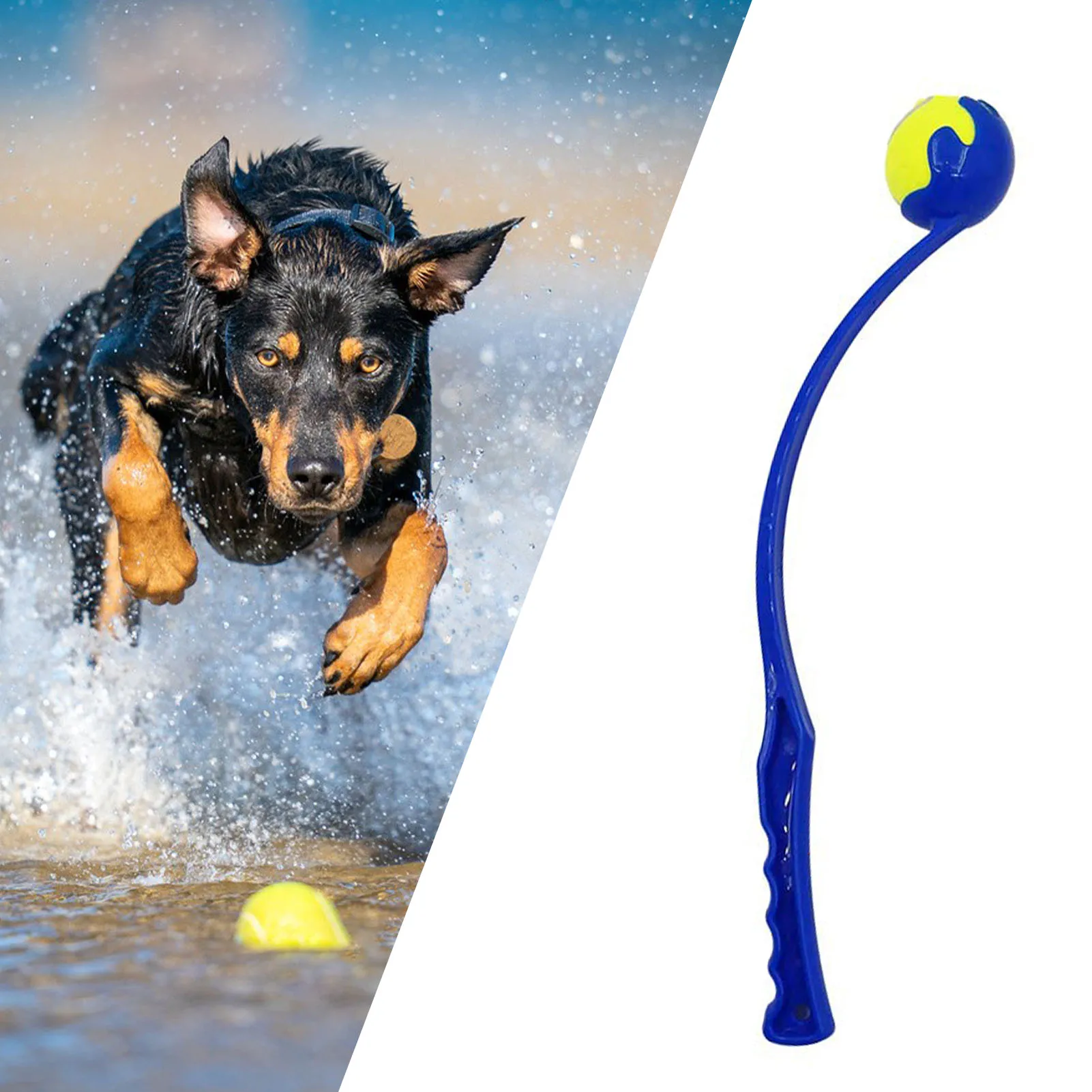 

Pet Tossing Cue and Dog Training Toy Ball Tossing Ball Launcher Dog Training Thrower Outdoor Funny Training Pet Interactive Toy