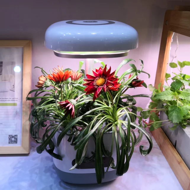 Гидропонные системы для домашнего сада с лампочками выращивания растений