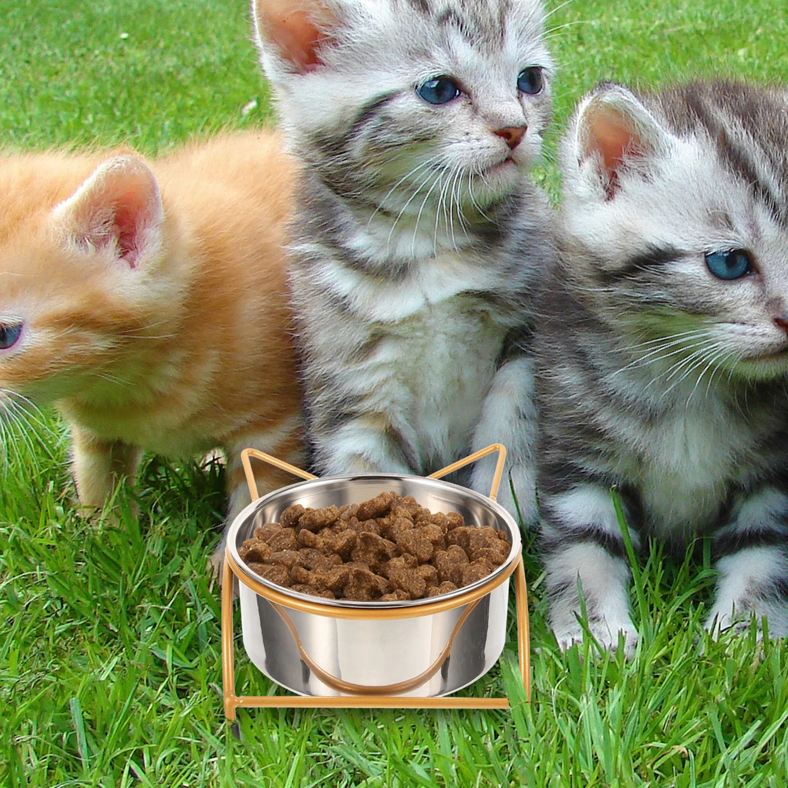 

Stainless Steel Cat Bowl Unbreakable Cat Feeding Double-bowl Elevated Cat Bowl