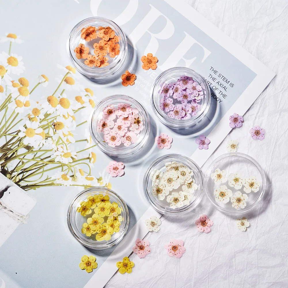 

3D Nail Dried Flowers Sticker 16 Colors Five Petal Flower Natural Dry Flower Nail Stickers Decorations for DIY Embossing