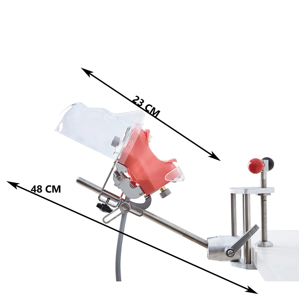 Простой стоматологический симулятор модель головы фантомный манекен с зубцами