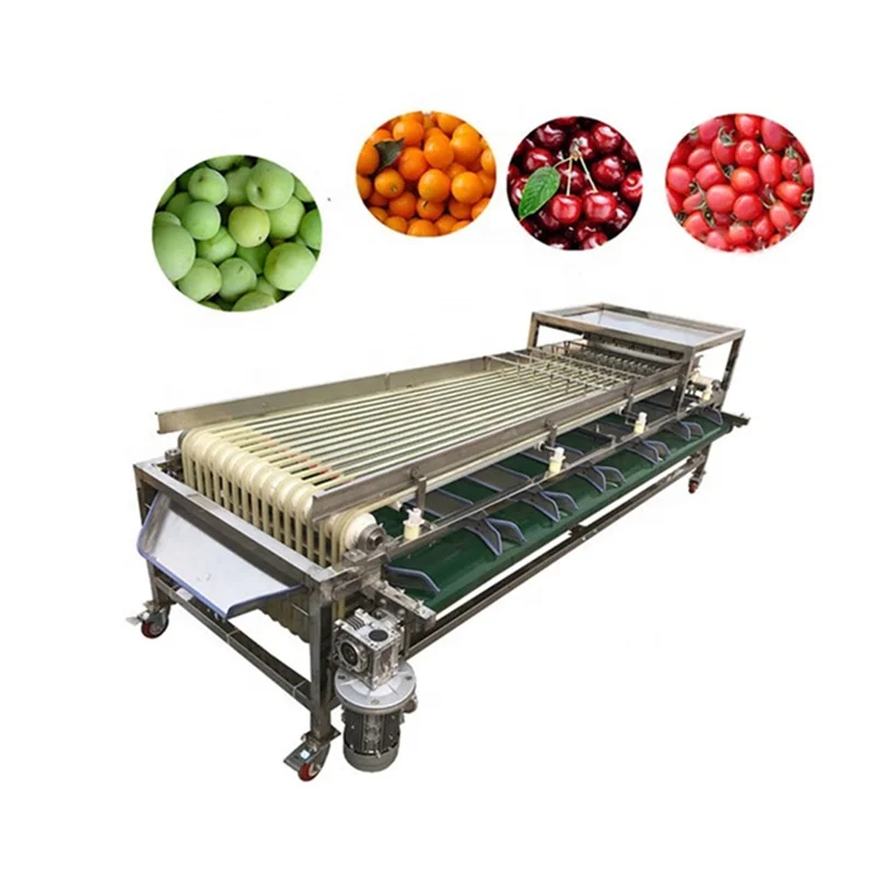 

2Ton /Hour Stainess Steel Onion Tomato Chestnut Potato Fruit Size Sorting Machine 6 Channel Orange Apple Peach Avocado Grader