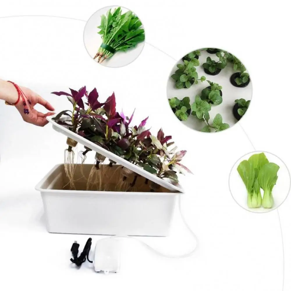 

Hydroponic Indoor 6 Holes System Soilless Cultivation Plant Nursery Box Grow Kit