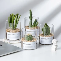 nordic transparent glass vase simple hydroponic cactus succulent flower pot desktop vase home decoration