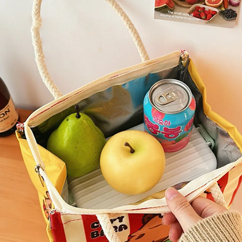 Kawaii Cartoon Lunch Box Bag Изолированная сумка-тоут Bento Сумки для обеда женщин