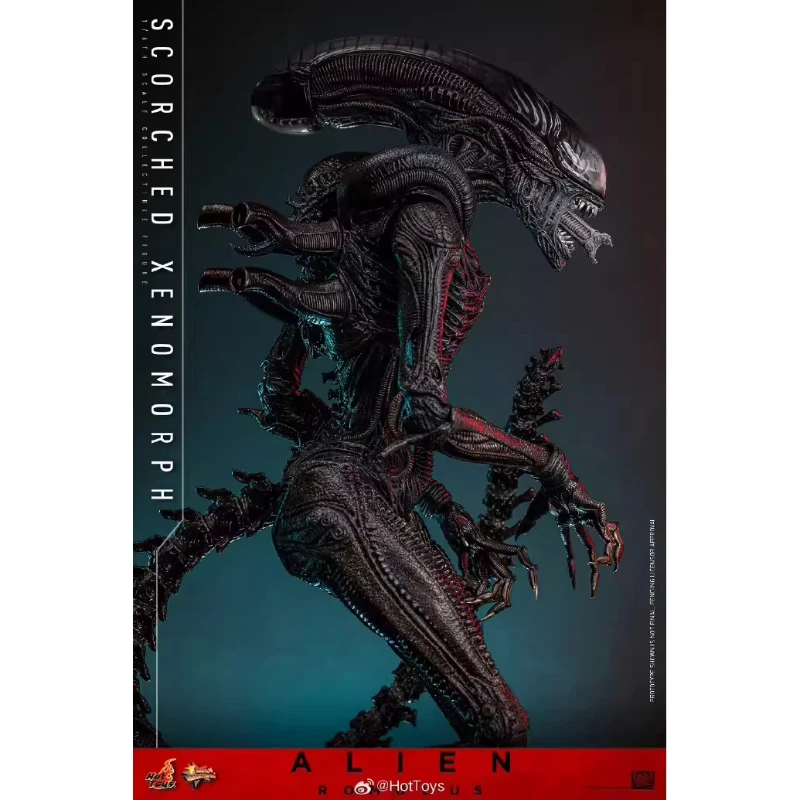 Фото Коллекционная фигурка HotToys HT 1/6 Scorched Xenomorph MMS784 Alien Romulus, подвижная модель для коллекционеров фигурок. №4