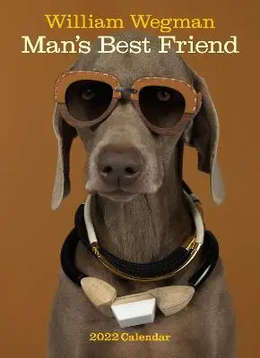 

Настенный календарь William Wegman Man's Best Friend 2022