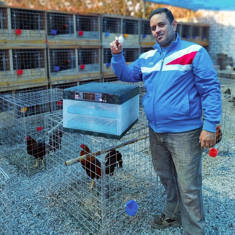 YIWAN домашнего использования 64-320 яиц автоматический инкубатор для птицы 192