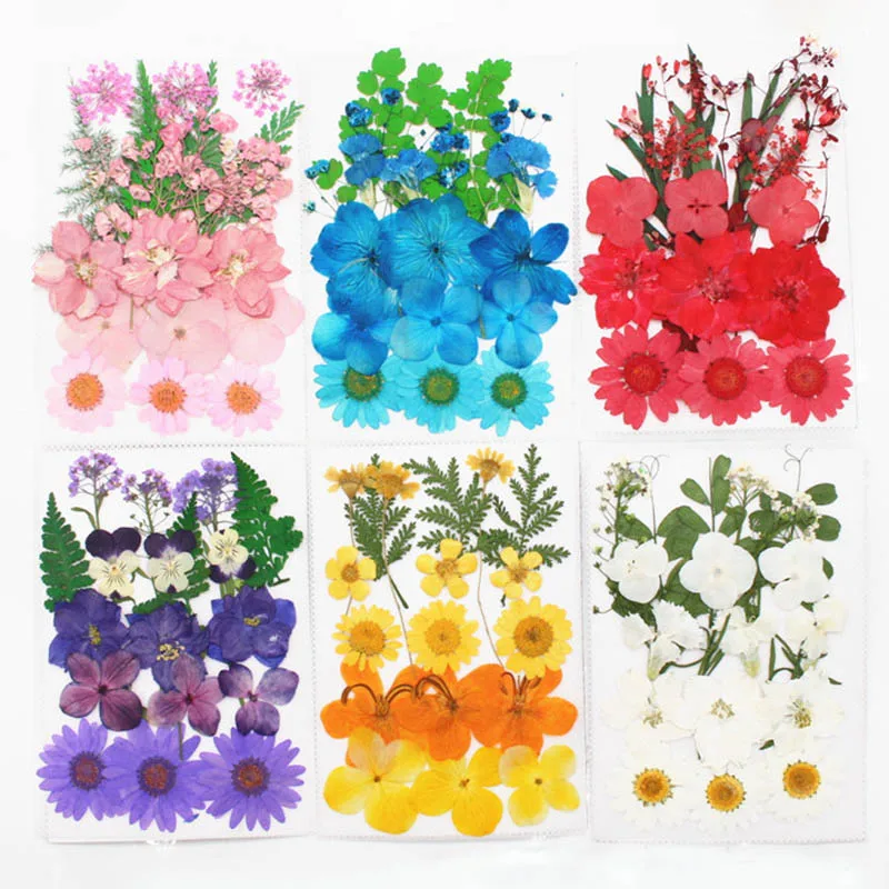 

1Bag Dried Flowers Pressed Flowers Material DIY Art Floral Decors Nice Gift Mixed Colors Natural Organic Portable Immortal Plant