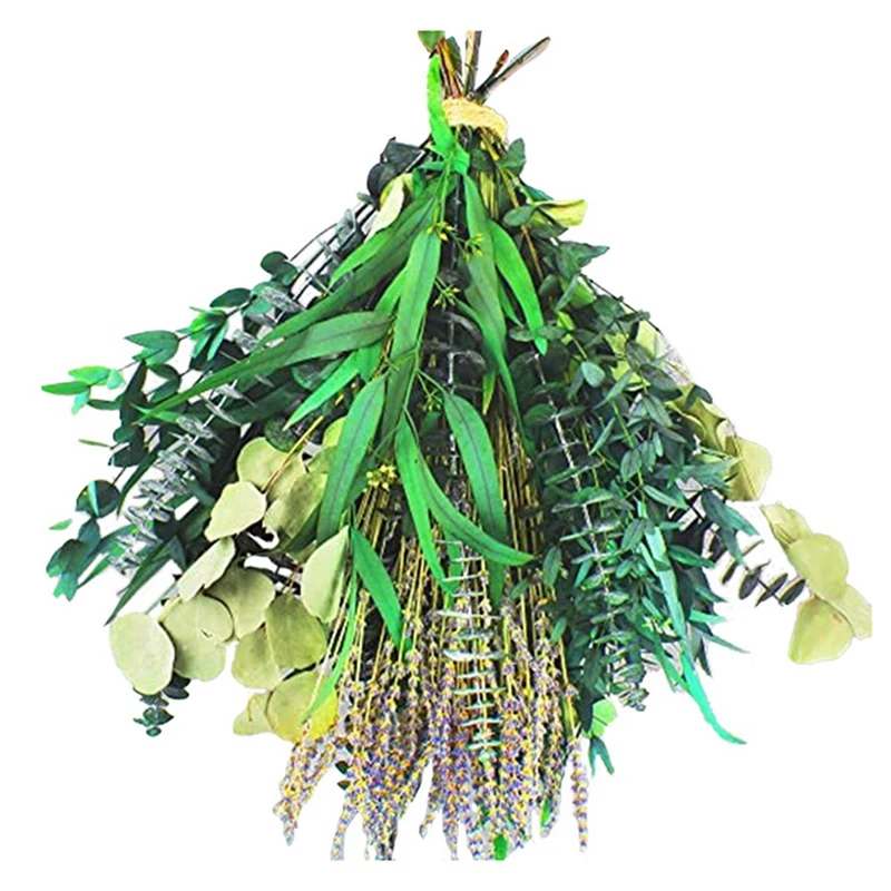 

Assorted Mixed Dried Eucalyptus Green Plants Decorative Accessories For Shower, Natural Real Silver Dollar Eucalyptus Leaf Stems