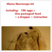 15k moina macrocopa kit water flea live fish food for hatching and culture suitable for feed betta fish
