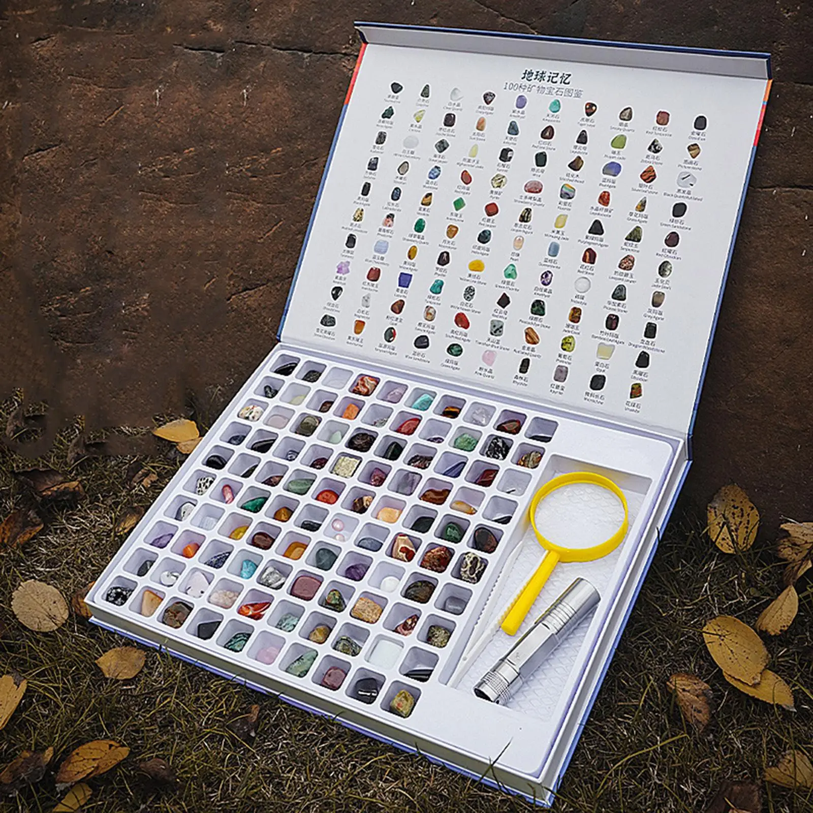 

Geology GEM Kit for Book Magnifying Glass for Holiday