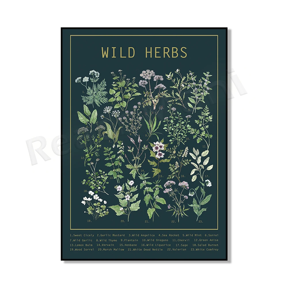 

Ботанический постер ReachMani