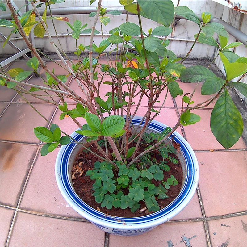 Спортивная Экшн-камера Guzcadun видеокамера для подводного плавания с Wi-Fi Ultra HD 1080P 4K