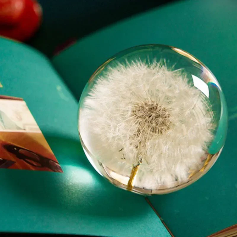 

Natural Dandelion Specimen Shui Ball Plants Gift Feng Love Flowers Christmas Home Ball Decorative Glass Resin Crystal Lens