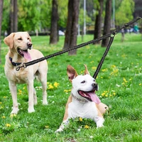 pet two head leash one tow two walking dog leash retractable high elastic luminous two dog leash