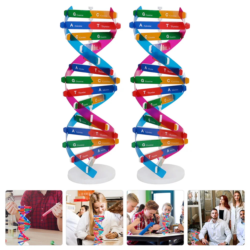 

Dna Model Teaching Science Aids Helix Tool Genes Double Molecular Educational Toy Models Learning Gene Biology Diy Kit