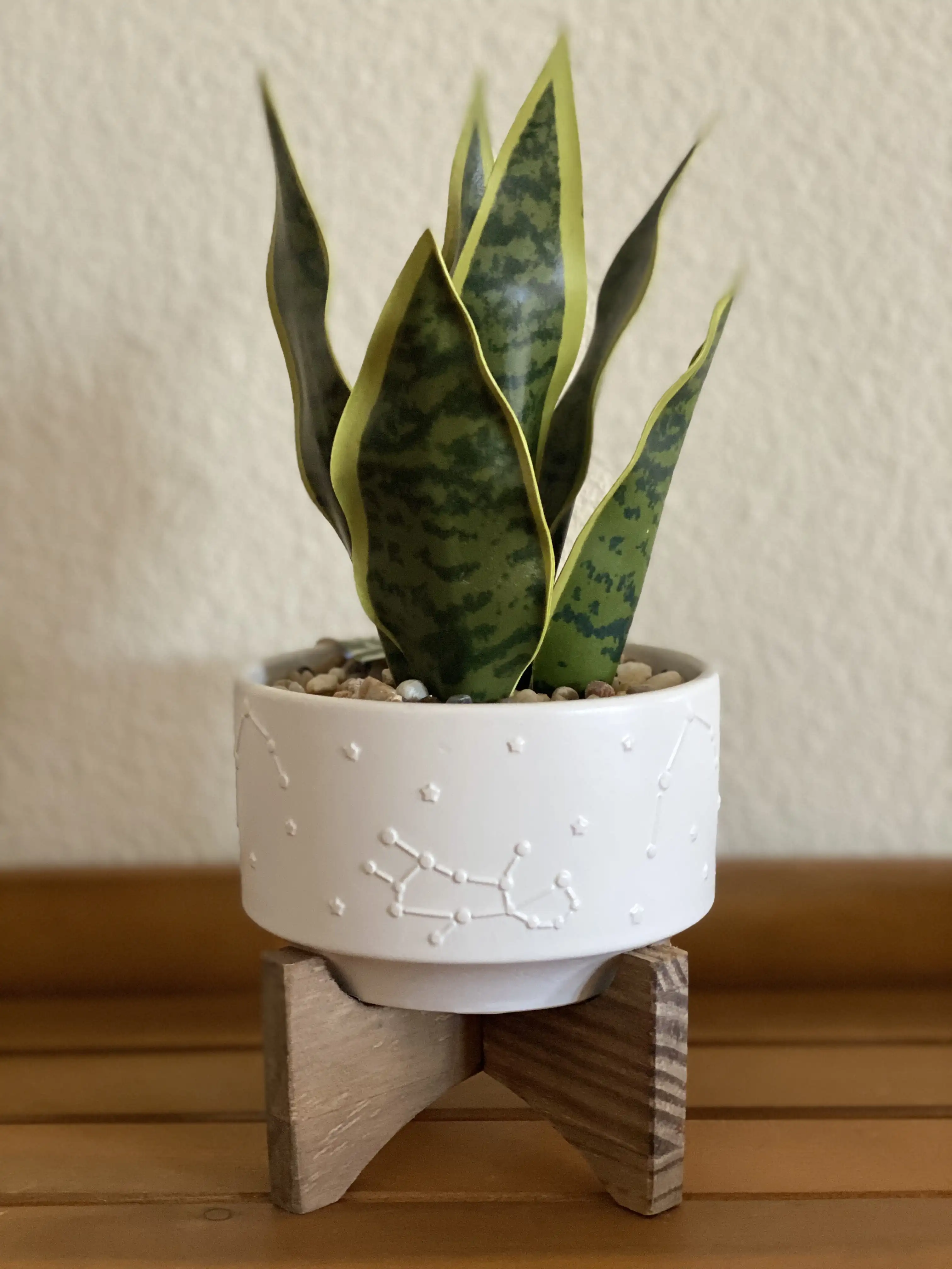 

9.75" Artificial Snake Plant in Ceramic Ceramic Pot