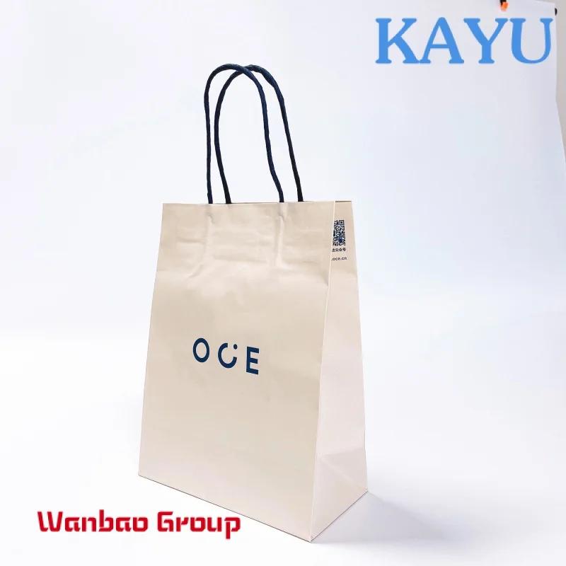 Eco friendly print logo jewelry packing bags clothing shoes paper shopping bag