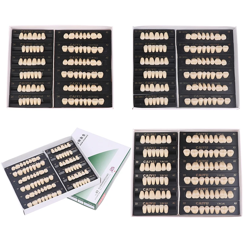 

84Pcs / Box Dental Synthetic Polymer Teeth Resin Denture Dental Teeth Model 22/23/24 HSS5