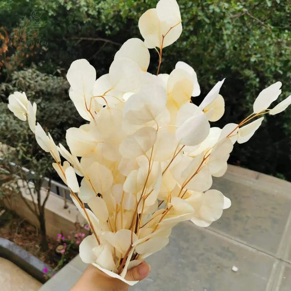 

Dried Flower Natural Preserved Apple Leaves Fake Plant DIY Wedding Diy Party Home Floral Decoration Eucalyptus Bouquet of Leaf