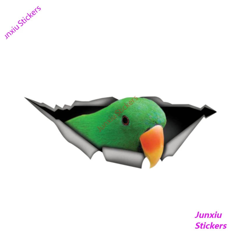 

Personality Eclectus Roratus 3D Car Sticker Vinyl Waterproof Car Window Accessories Decorative Boot Art Pattern PVC 13cm X 5cm