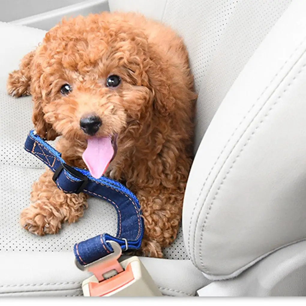 

Pet Car Safety Rope Adjustable Vehicle Seat Belt Safety Harness Denim Pets Restraint Lead