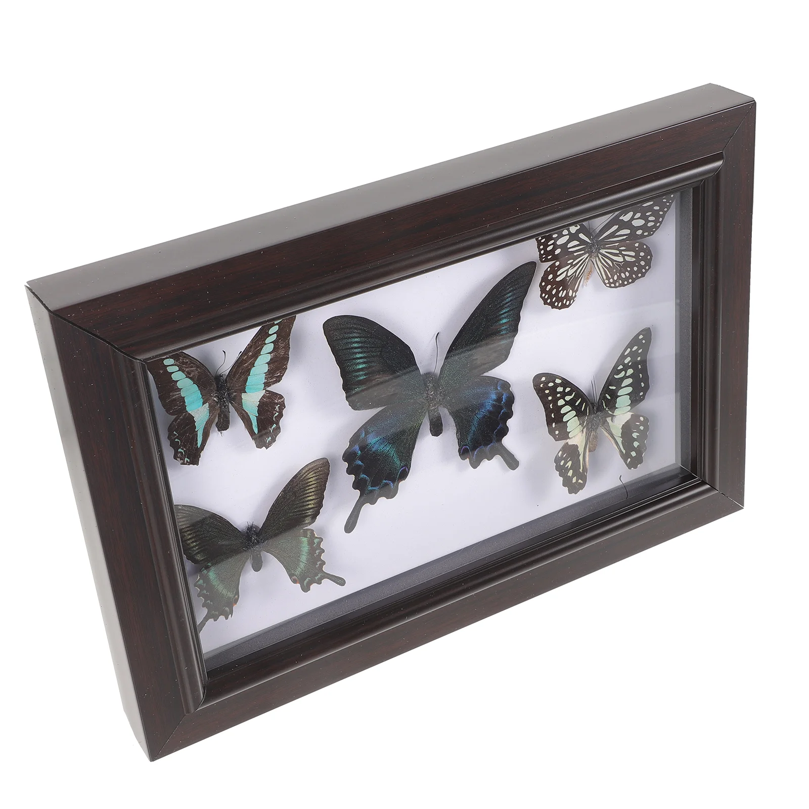 

Office Decor Ornament Frame Wall Hanging Specimen Craft Decorations Handmade Butterfly Desktop Living Room