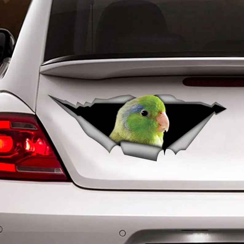 

parrotlet car sticker, parrotlet decal, bird sticker