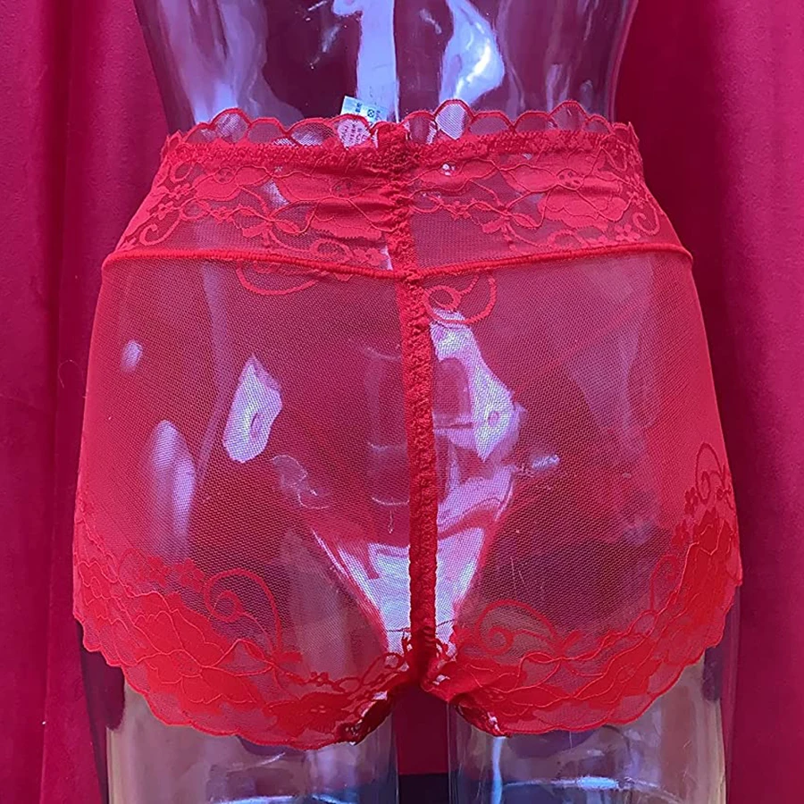 CONTROL PANTY GAFF Transparent Lace Rose Embroidery Lingerie Underwears Crossdresser Transgender Shemale Camel Toe Panties