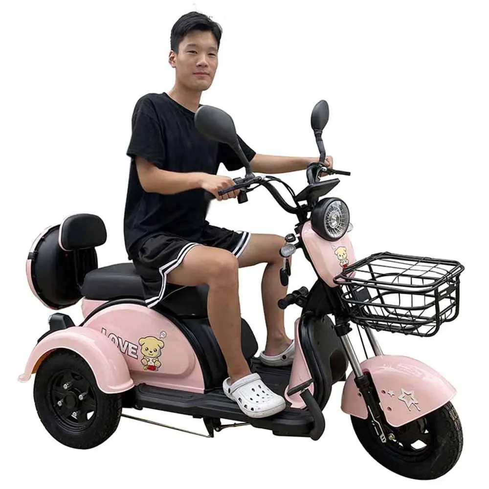 Рисунок 3 - Электрический трехколесный бытовой