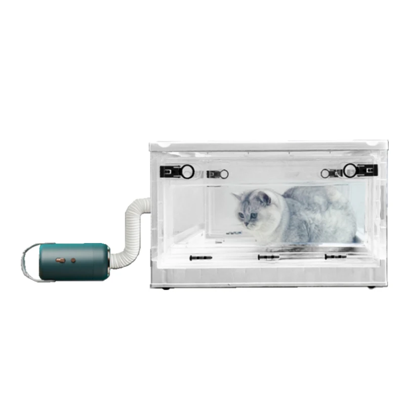 

Automatic pet Drying Box for Household pet Water Blowing Machine cat Dryer