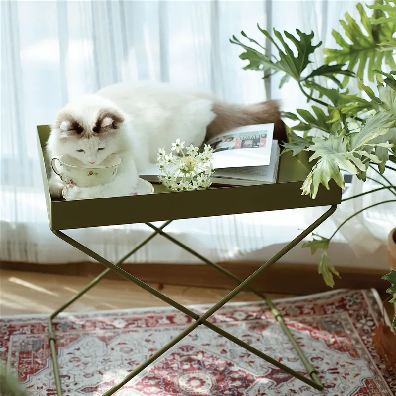 

Nordic Modern Vintage Green Iron Coffee Table Rectangle Tray Sofa Side Table Storage Balcony Living Room Table Basse de Salon