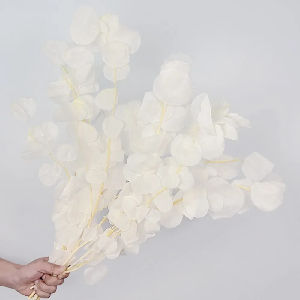 

Консервированные листья эвкалипта YN HI FLOWER ENJOY YOUR LIFE