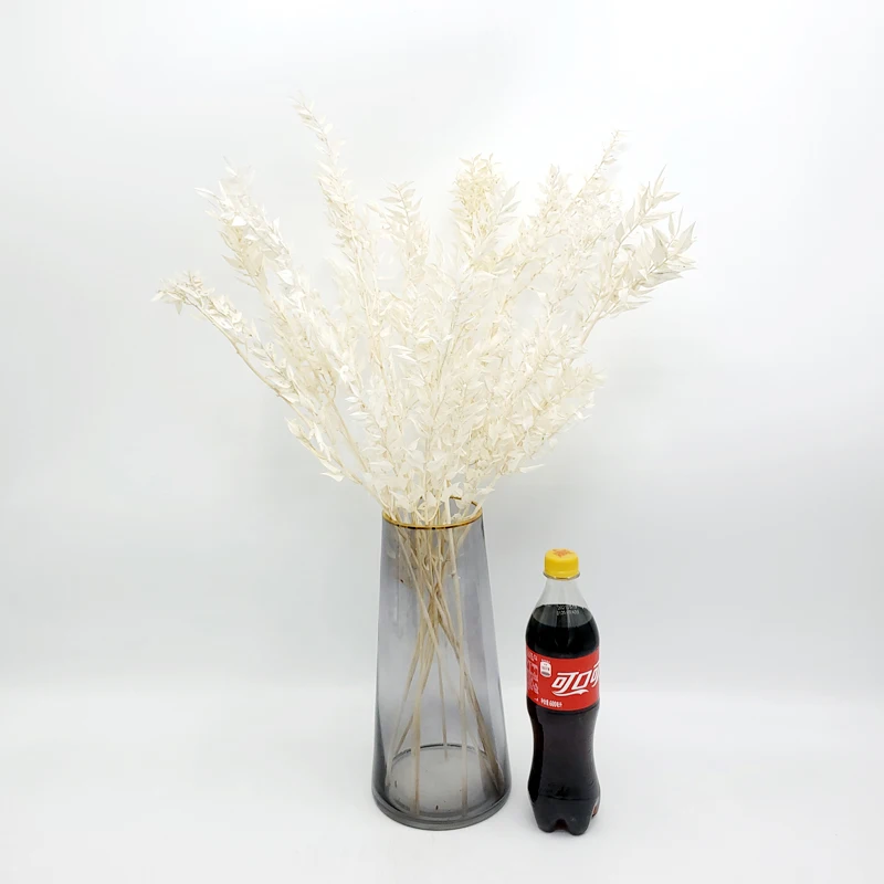 

5Pcs Real Rich Leaf Immortal Dried Flower Imported Natural White Nordic Decor Home Window Homestay Flower Arrangement Decoration