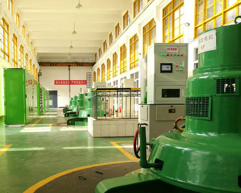 Гидротурбина Гвинейского проекта/гидроэлектростанция/генератор водяной