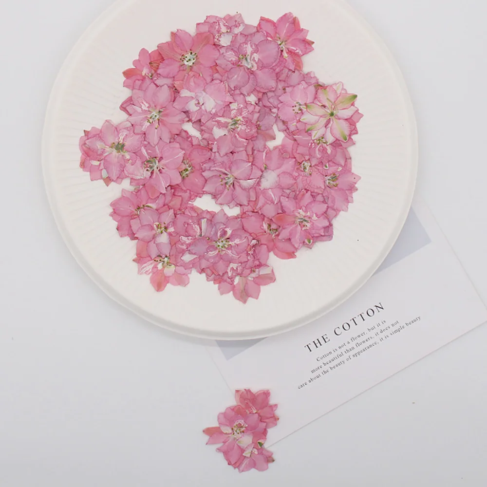 Feiyan цветок сухой тиснение сделай сам ручной клей фоточехол карандаш для лица