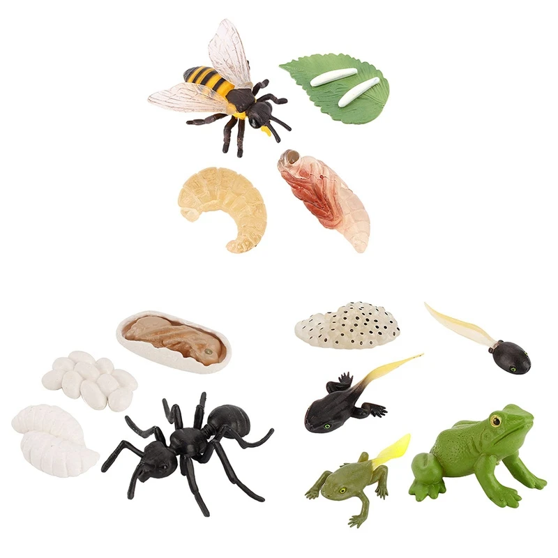 

13 PCS Life Cycle Figures Of Frog,Ant,Bee Plastic Realistic Animal Model Figurines Growth Science Educational Toys