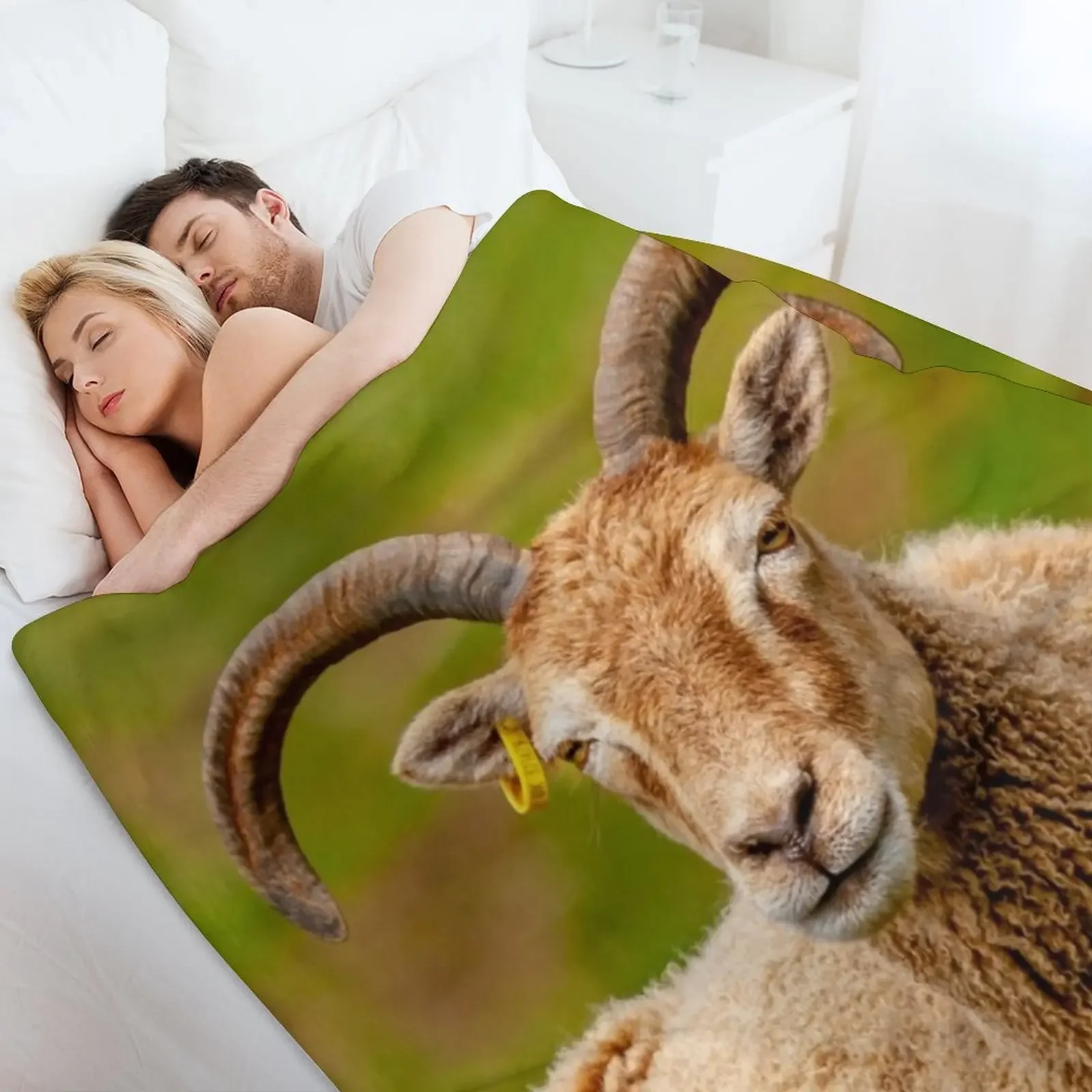 Одеяло Soay Sheep большое для дивана милые летние одеяла